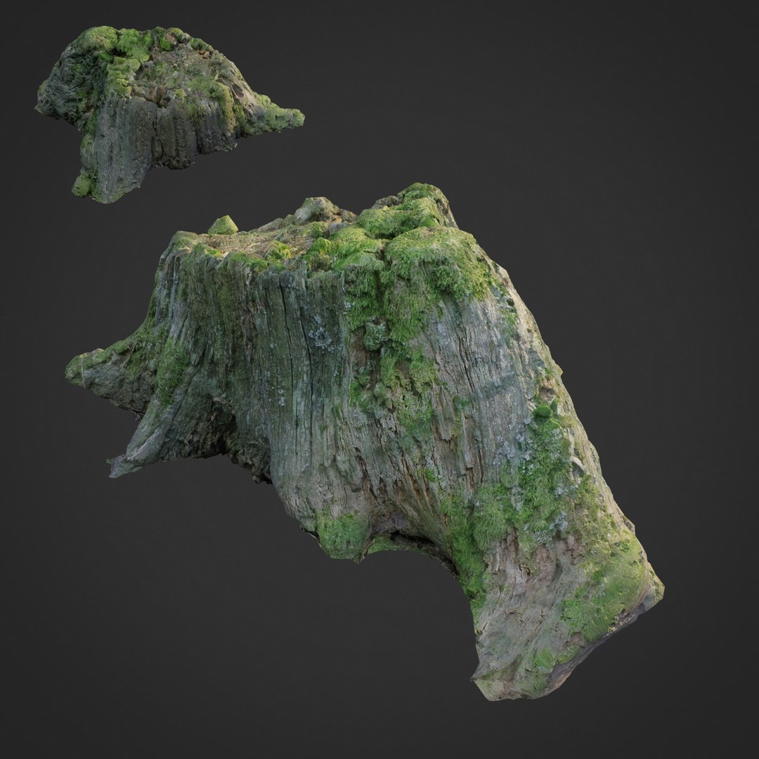 3D Model Stump Pack - TurboSquid 1244844