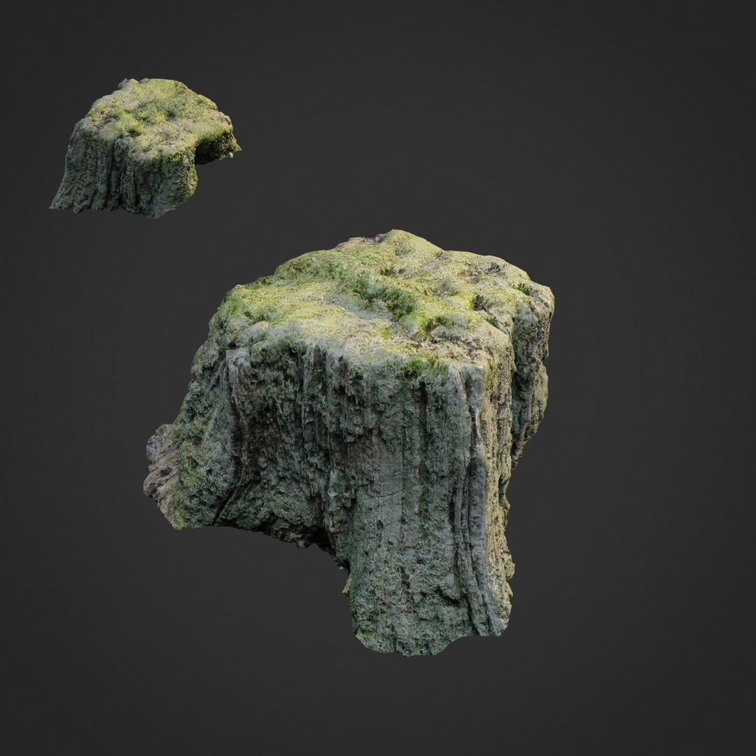 3D Model Stump Pack - TurboSquid 1244844