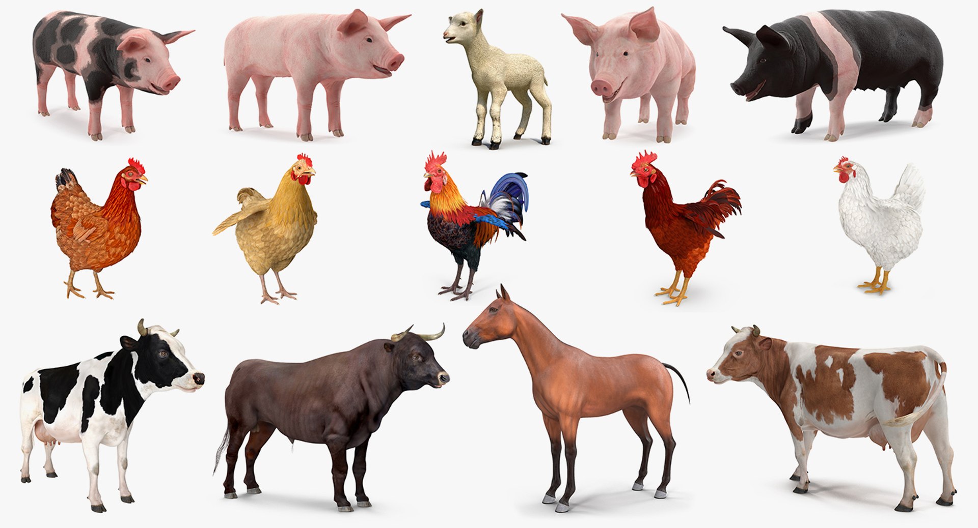 Farm Animals Big Rigged Collection 2 for Cinema 4D 3D model preview