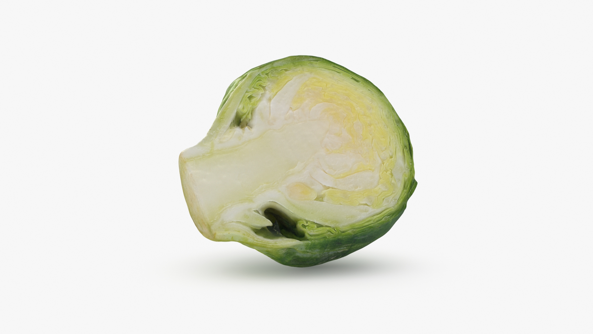 3D model Brussels Sprout Half Collection https://p.turbosquid.com/ts-thumb/NR/GDPdp2/0H/brusselssproutcut3/jpg/1734077719/1920x1080/turn_fit_q99/39d0b6886e8f03a8abd19906e15d86f6fbd41680/brusselssproutcut3-1.jpg