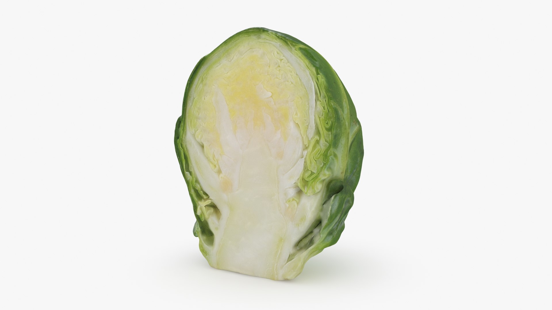 3D model Brussels Sprout Half Collection https://p.turbosquid.com/ts-thumb/NR/GDPdp2/2y/brusselssproutcut2_a0001/jpg/1735560702/1920x1080/fit_q87/28b7bba928d736acfad15a7edbf5c3350cb7636b/brusselssproutcut2_a0001.jpg