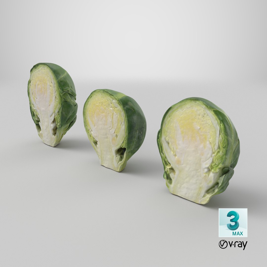3D model Brussels Sprout Half Collection https://p.turbosquid.com/ts-thumb/NR/GDPdp2/6f/stemcell_max_vray_render/png/1736874629/1920x1080/fit_q87/5fd5d363a11aeaf9113596cfd65adc72f5894401/stemcell_max_vray_render.jpg