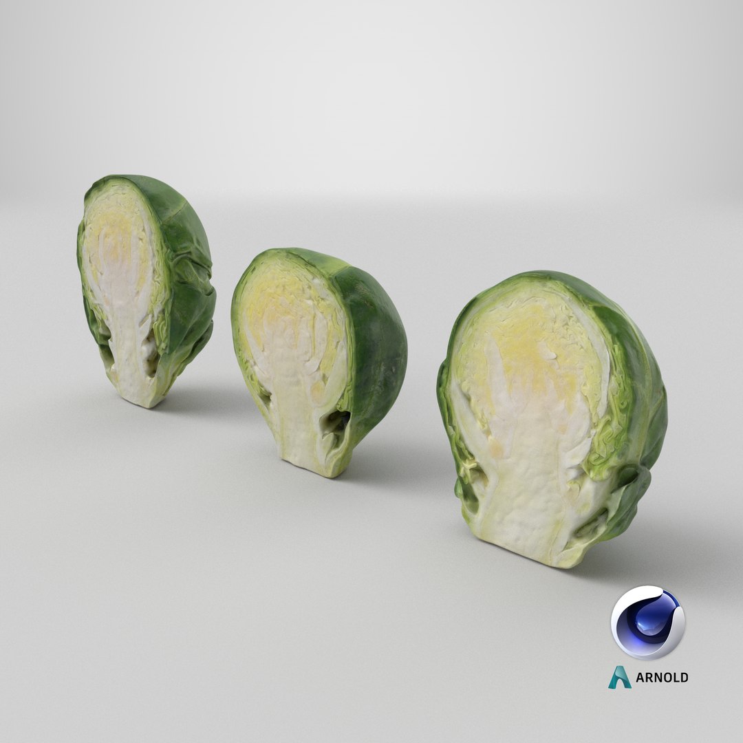 3D model Brussels Sprout Half Collection https://p.turbosquid.com/ts-thumb/NR/GDPdp2/Cr/stemcell_cinema_4d_arnold_render/png/1736874625/1920x1080/fit_q87/8ccd973f794fbab97502c671c6d3400dceb714c8/stemcell_cinema_4d_arnold_render.jpg
