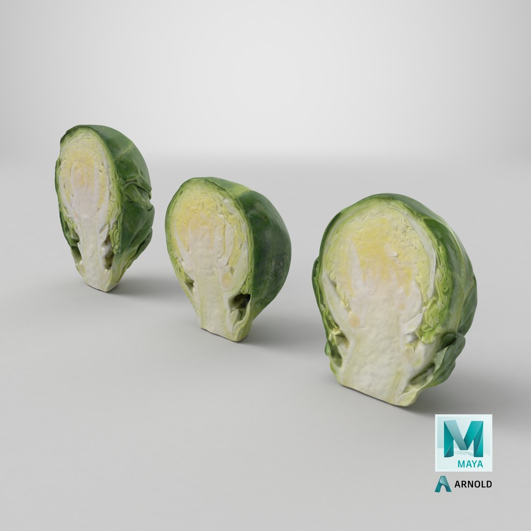 3D model Brussels Sprout Half Collection https://p.turbosquid.com/ts-thumb/NR/GDPdp2/E2/stemcell_maya_arnold_render/png/1736874622/1920x1080/fit_q87/566462ad1119ec78f7569dd7bb081da21dc1a692/stemcell_maya_arnold_render.jpg