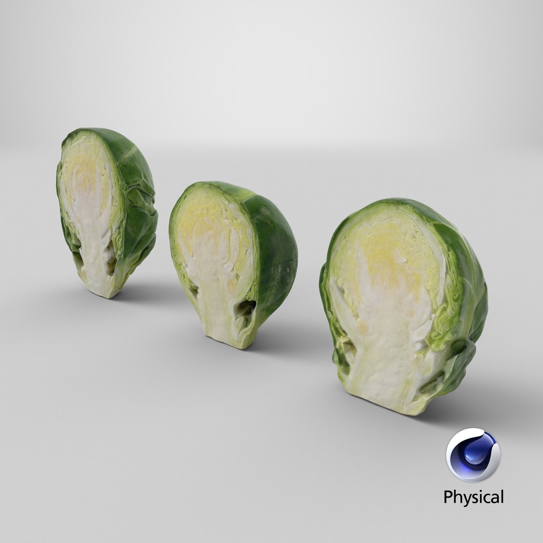 3D model Brussels Sprout Half Collection https://p.turbosquid.com/ts-thumb/NR/GDPdp2/LV/stemcell_cinema_4d_physical_render/png/1736874627/1920x1080/fit_q87/516c6999e9340337b66bfade747158c0ea9e5e8e/stemcell_cinema_4d_physical_render.jpg