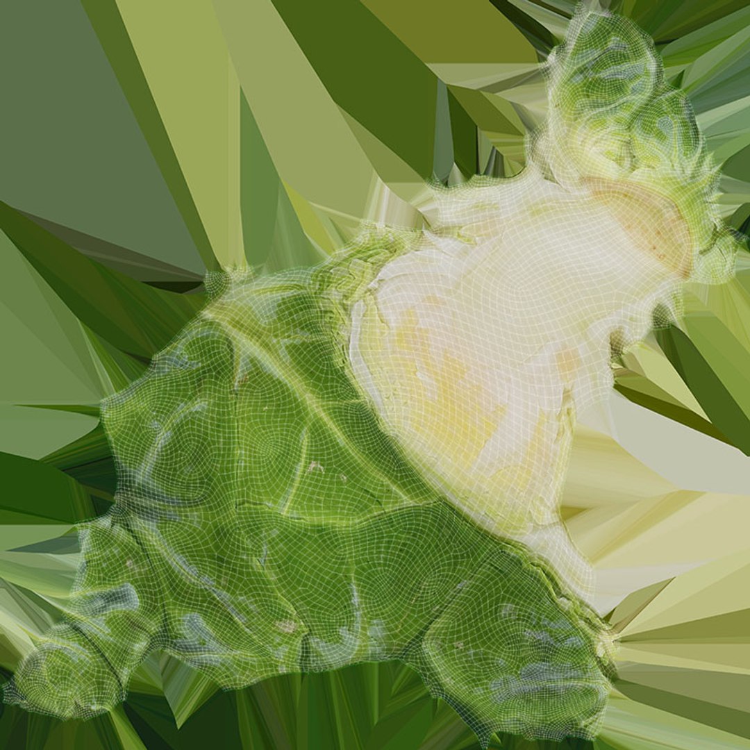 3D model Brussels Sprout Half Collection https://p.turbosquid.com/ts-thumb/NR/GDPdp2/eh/brusselssproutcut2_d0004/jpg/1735560712/1920x1080/fit_q87/1cb762ae41e5ba76ae742ce93990452097d16fde/brusselssproutcut2_d0004.jpg