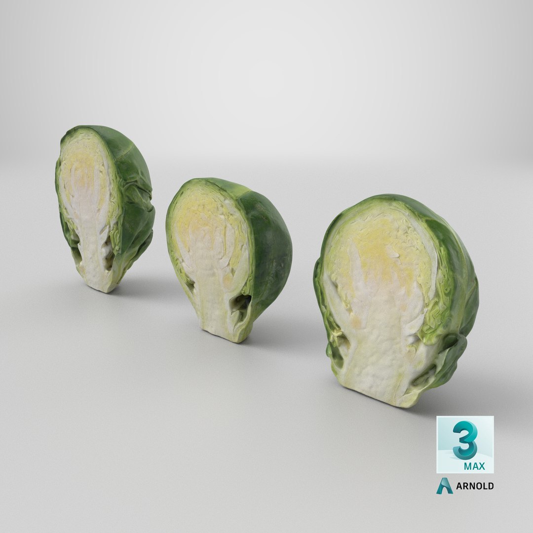 3D model Brussels Sprout Half Collection https://p.turbosquid.com/ts-thumb/NR/GDPdp2/ov/stemcell_max_arnold_render/png/1736874630/1920x1080/fit_q87/c78274ade2ff8c7ea357cba417c922818b508c62/stemcell_max_arnold_render.jpg