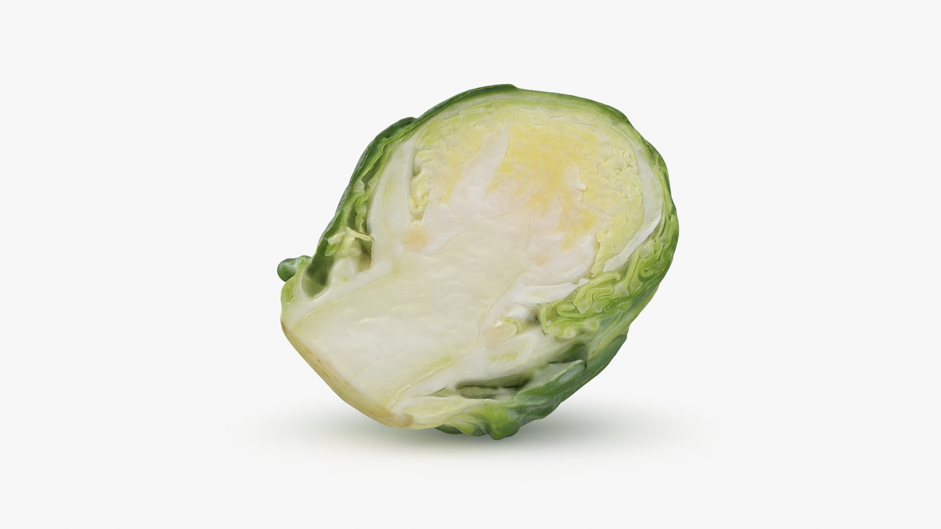 3D model Brussels Sprout Half Collection https://p.turbosquid.com/ts-thumb/NR/GDPdp2/y3/brusselssproutcut2/jpg/1735560095/1920x1080/turn_fit_q99/334033c198d64d56ed783657f47fabadc49a06de/brusselssproutcut2-1.jpg