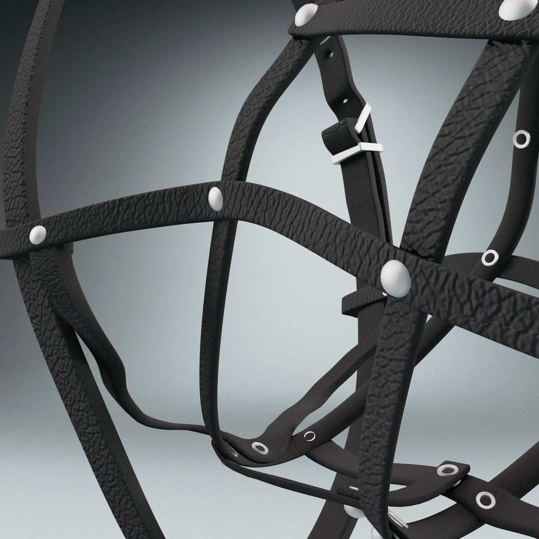 3d model dog muzzles