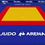 Judo tatami sport arena low poly