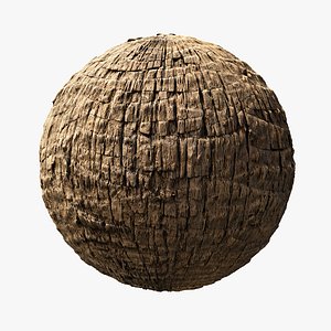 Washingtonia Robusta Palm PBR tiled texture 8K