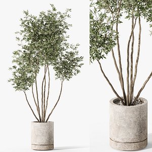 3D Plants collection 1061