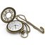 Pocket Watch and Chain