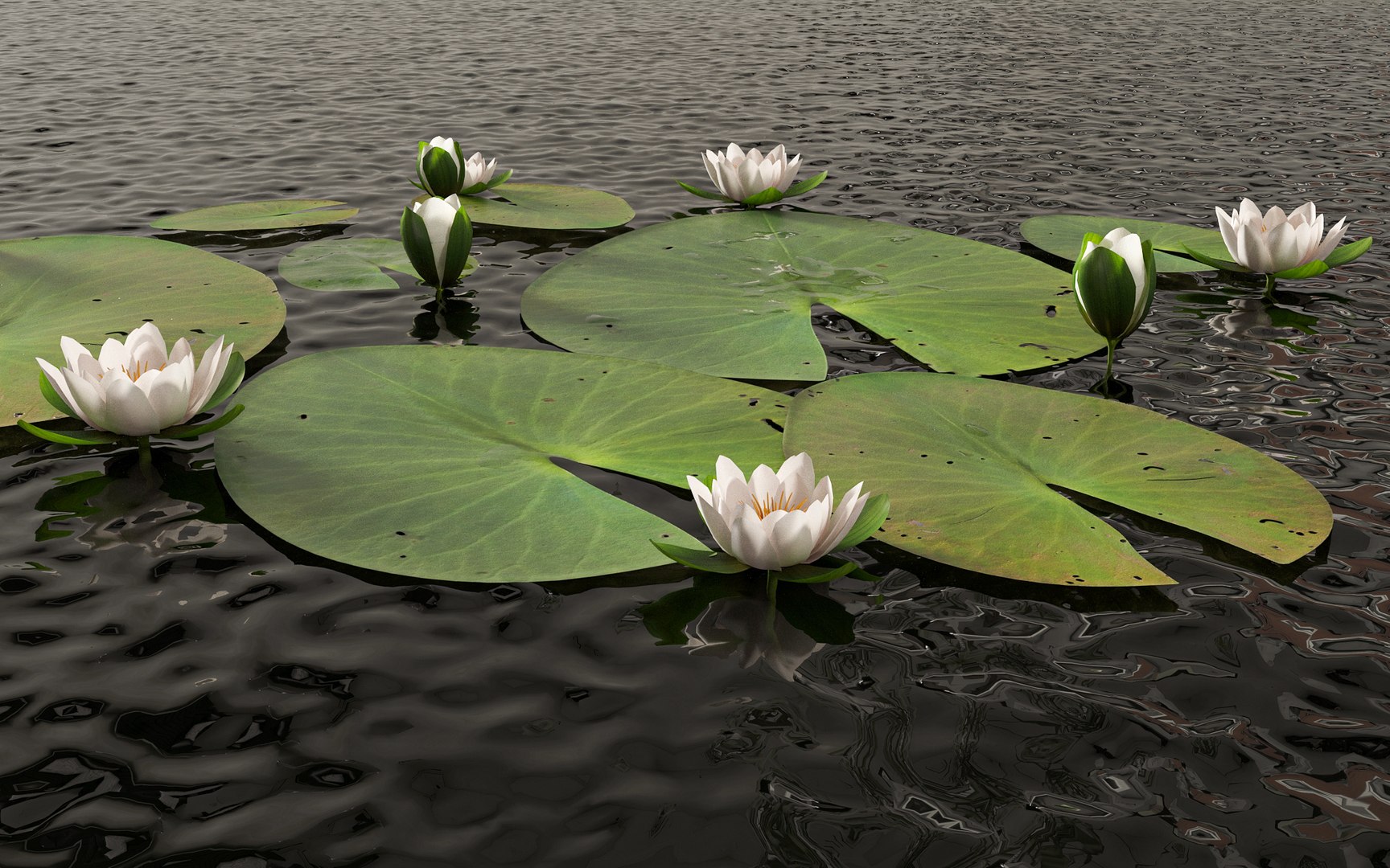3D Water Lily River 63