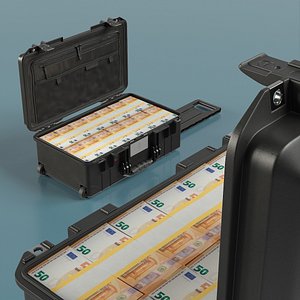 3D Travel Case Full of Euro