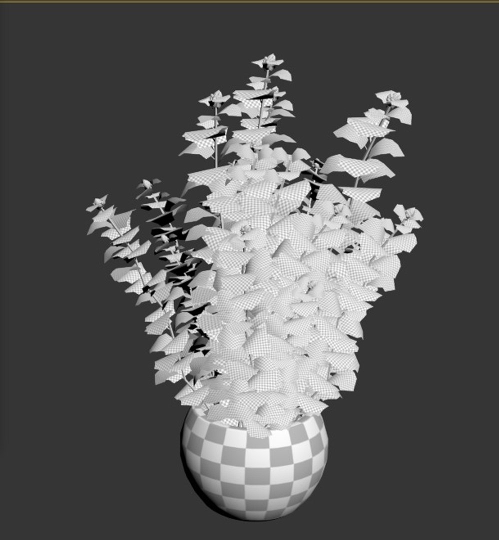 Cannabis Pot Model - TurboSquid 1554056