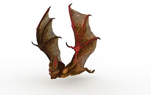 Bat 11 Animations model