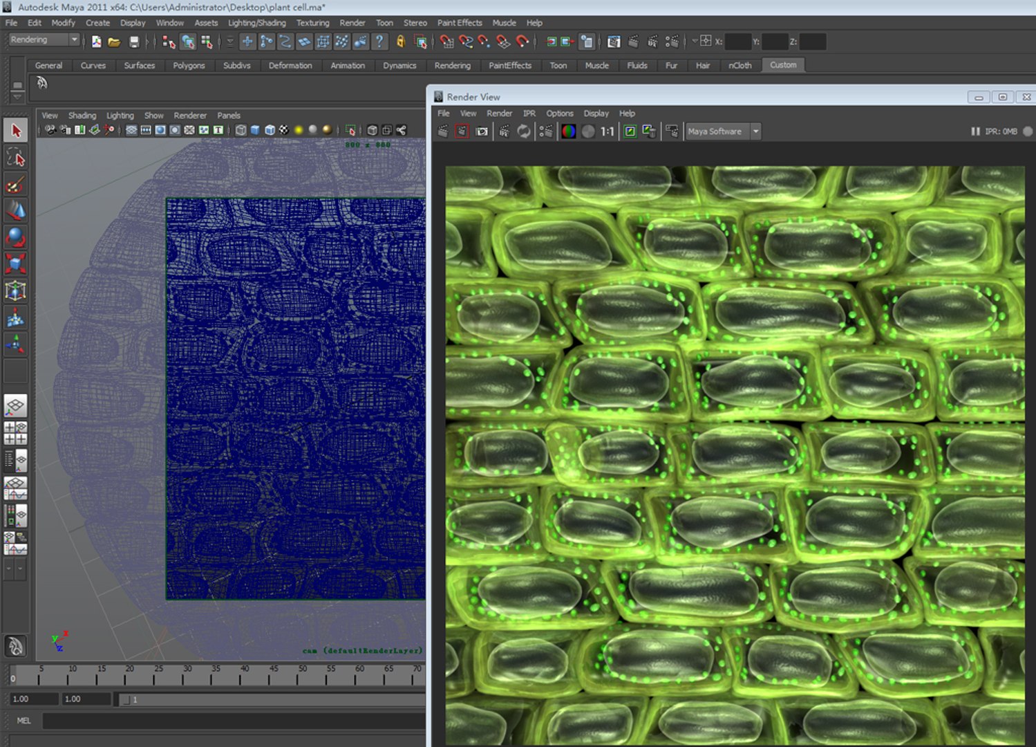 plant cell microstructure structure ma https://p.turbosquid.com/ts-thumb/NS/mh8hU8/HO3zOH5i/3/jpg/1488120140/1920x1080/fit_q87/a4364c1d00ccba2a900ad7e1a05b262b1c29d5cf/3.jpg