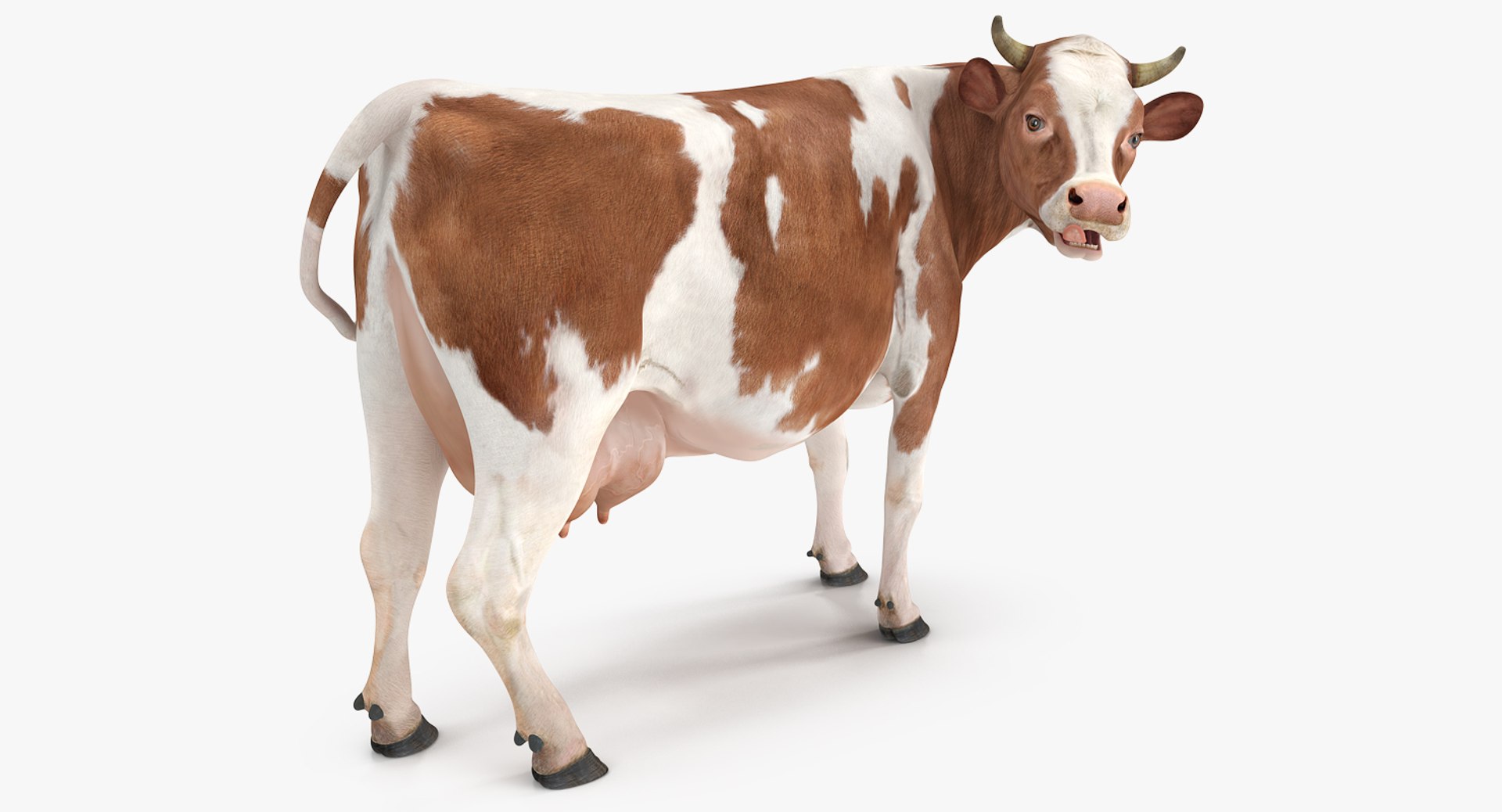 Cow Rigged for Maya 3D model preview