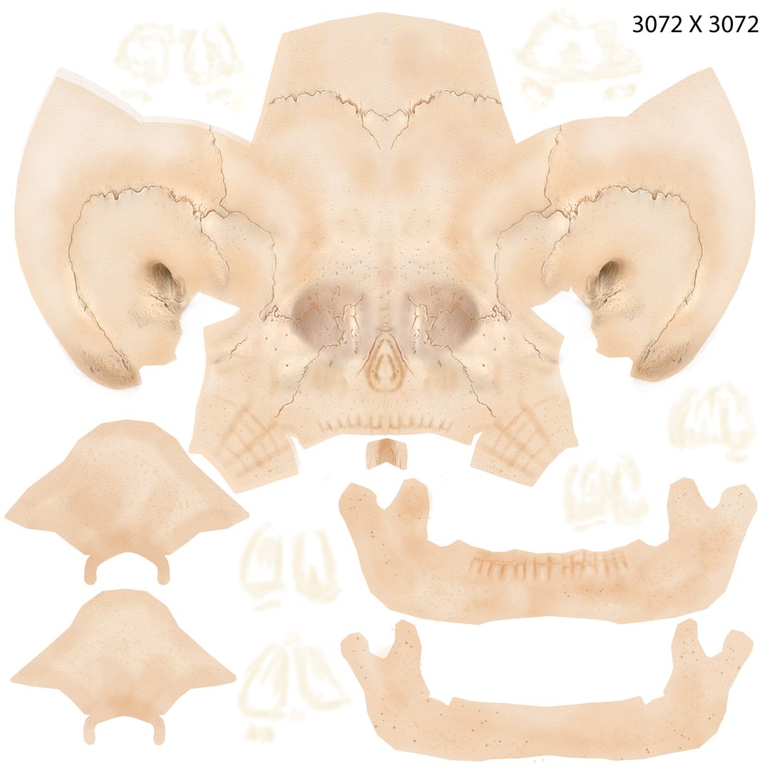 skeleton body 3d obj https://p.turbosquid.com/ts-thumb/NS/r3vHKL/kVSWo2ir/skull_col/jpg/1336829133/1920x1080/fit_q87/ad1ba30ea3a9b0cf6ad3921872222dd36d76bde7/skull_col.jpg