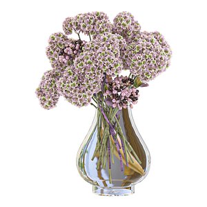Hydrangea Flower