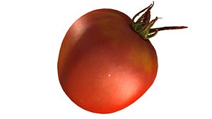 Tomato_13