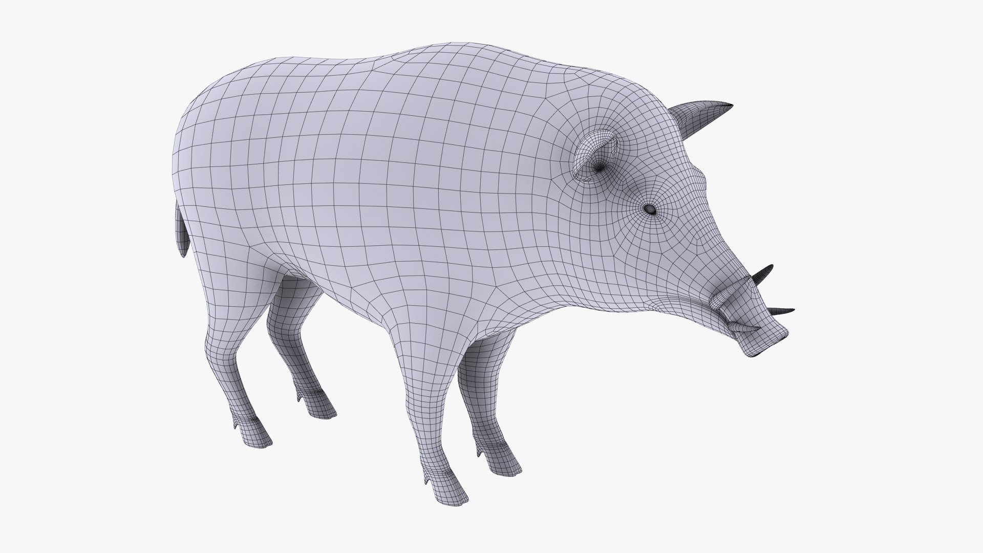 Boar Poser Model - TurboSquid 1753796