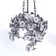 conjunto de petunia