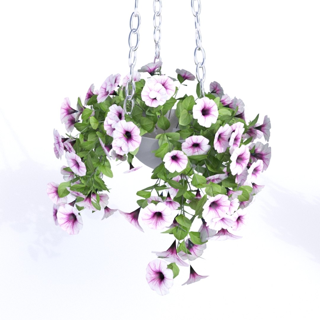 petunia landscape design 3D model https://p.turbosquid.com/ts-thumb/NT/KwVHLe/ocgS7KNp/petunia_1_.rgb_color.0003/jpg/1570972092/1920x1080/fit_q87/c1f0b2f223247cd10da82be3a0759d3cd70c6643/petunia_1_.rgb_color.0003.jpg