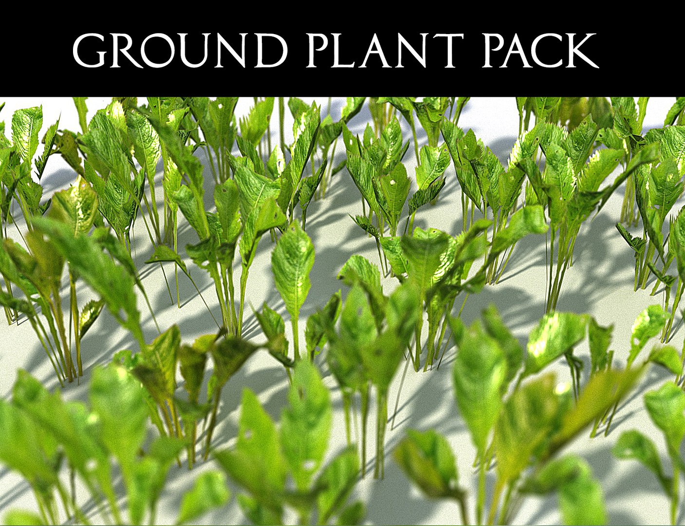 3D Model Ground Plant Pack - TurboSquid 1210150