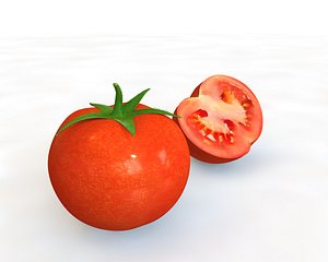 tomato 3D model