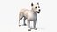 Mongrel Dog Cream Standard Pose