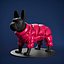 Mondog Down Jacket for a Dog