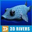 3DRivers的Fugu