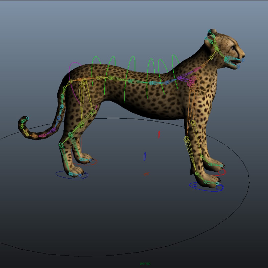3d Model Cheetah Rigged Fur