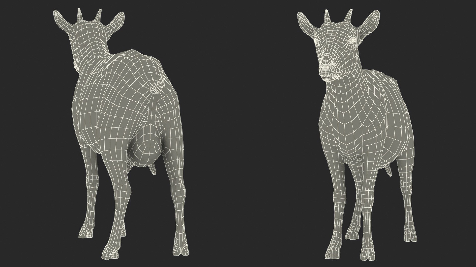Dairy Goat Brown Rigged 3D - TurboSquid 1992126