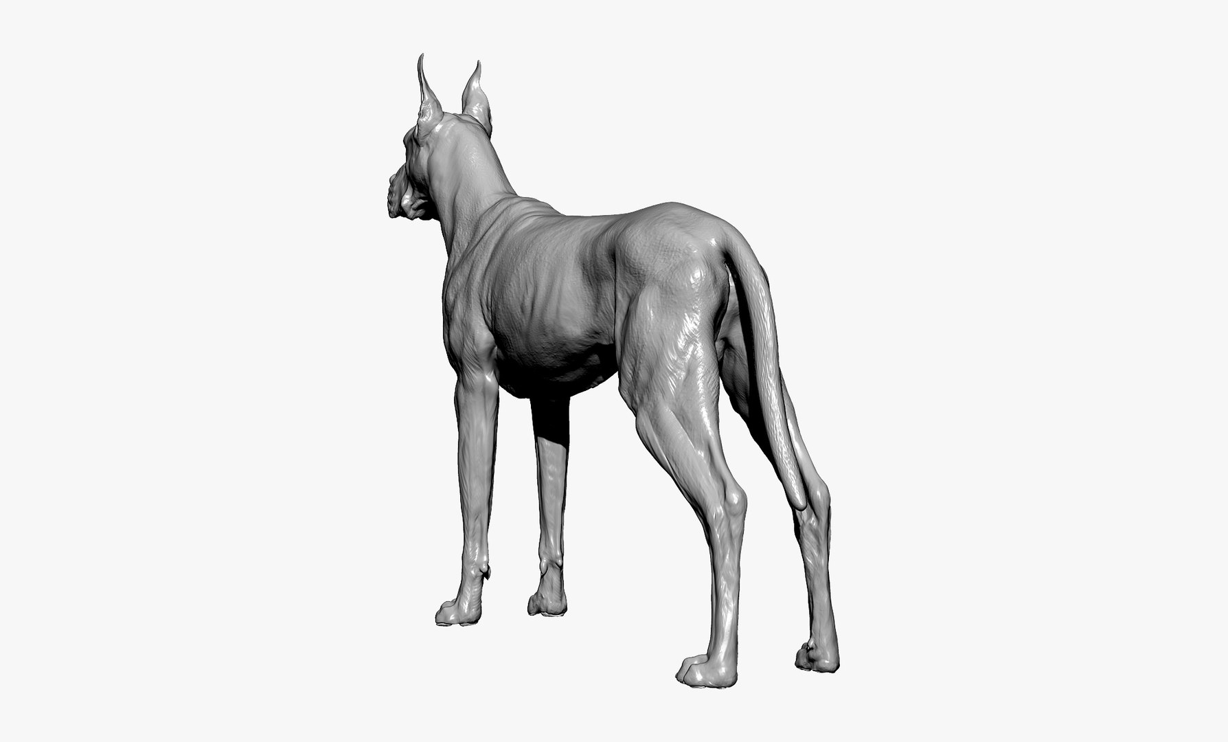 Great Dane Dog 3D Model - TurboSquid 1676702