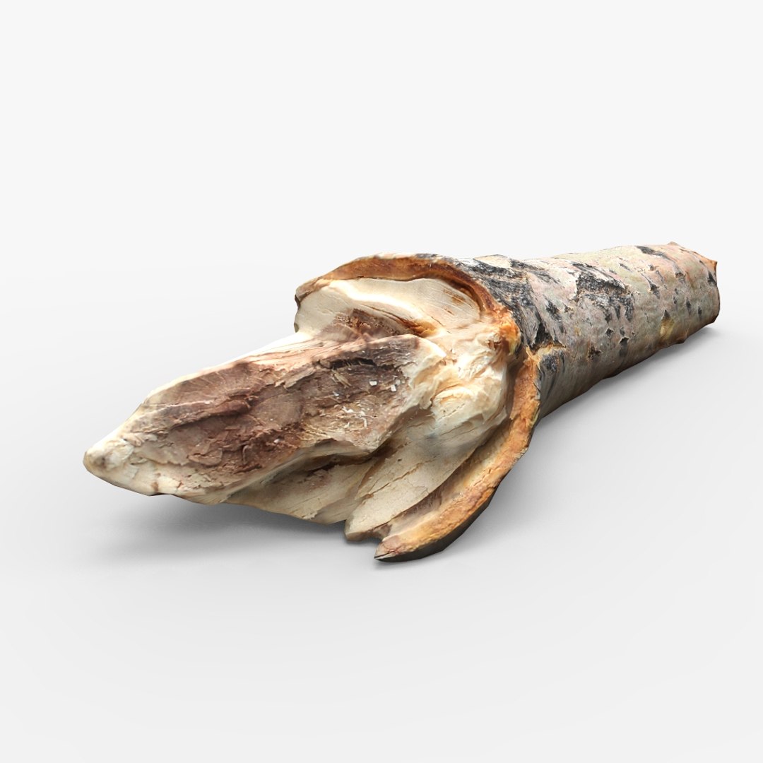3D driftwood wood https://p.turbosquid.com/ts-thumb/NU/MRHHBY/6OXwaif4/untitled.58/jpg/1558633345/1920x1080/fit_q87/748e0b85cfc2509ee0f2f89a13df51a06410e761/untitled.58.jpg
