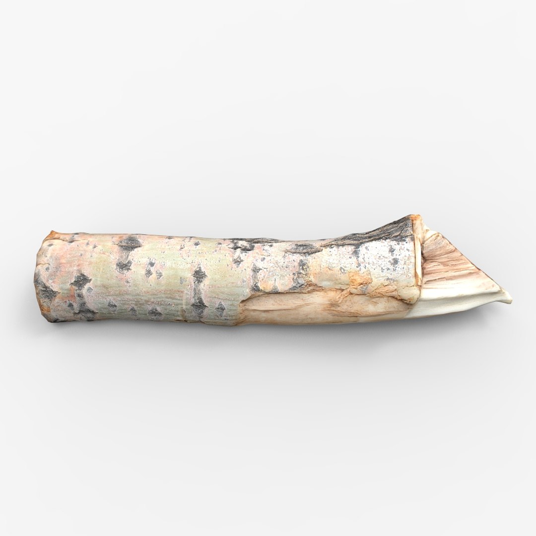 3D driftwood wood https://p.turbosquid.com/ts-thumb/NU/MRHHBY/ulTiOOID/untitled.57/jpg/1558633345/1920x1080/fit_q87/99b3f9d377119ab185badc3598ed2a117a491de5/untitled.57.jpg