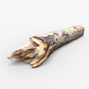3D driftwood wood