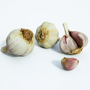 3D garlic set