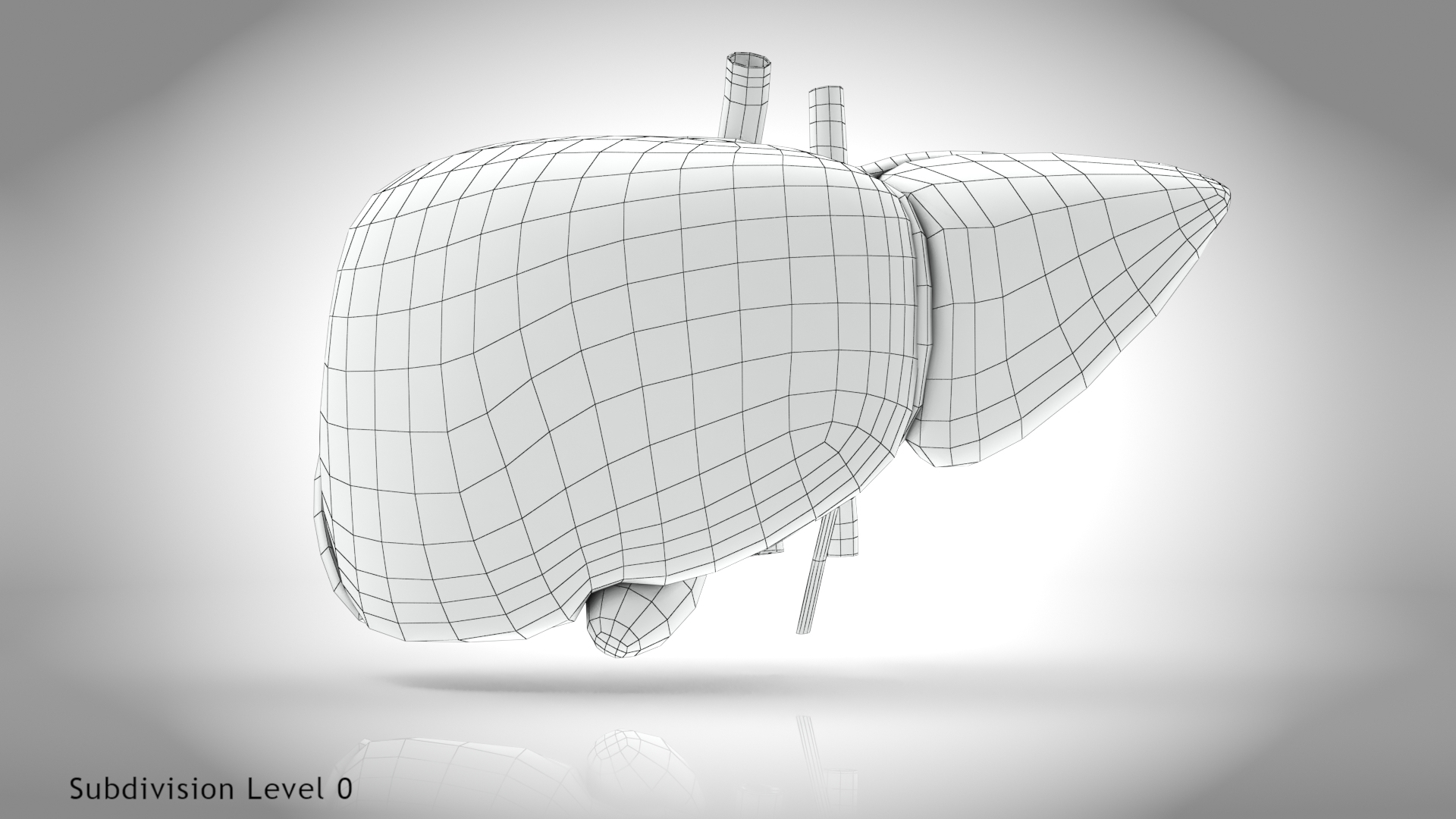 Healthy Liver model - TurboSquid 2132637
