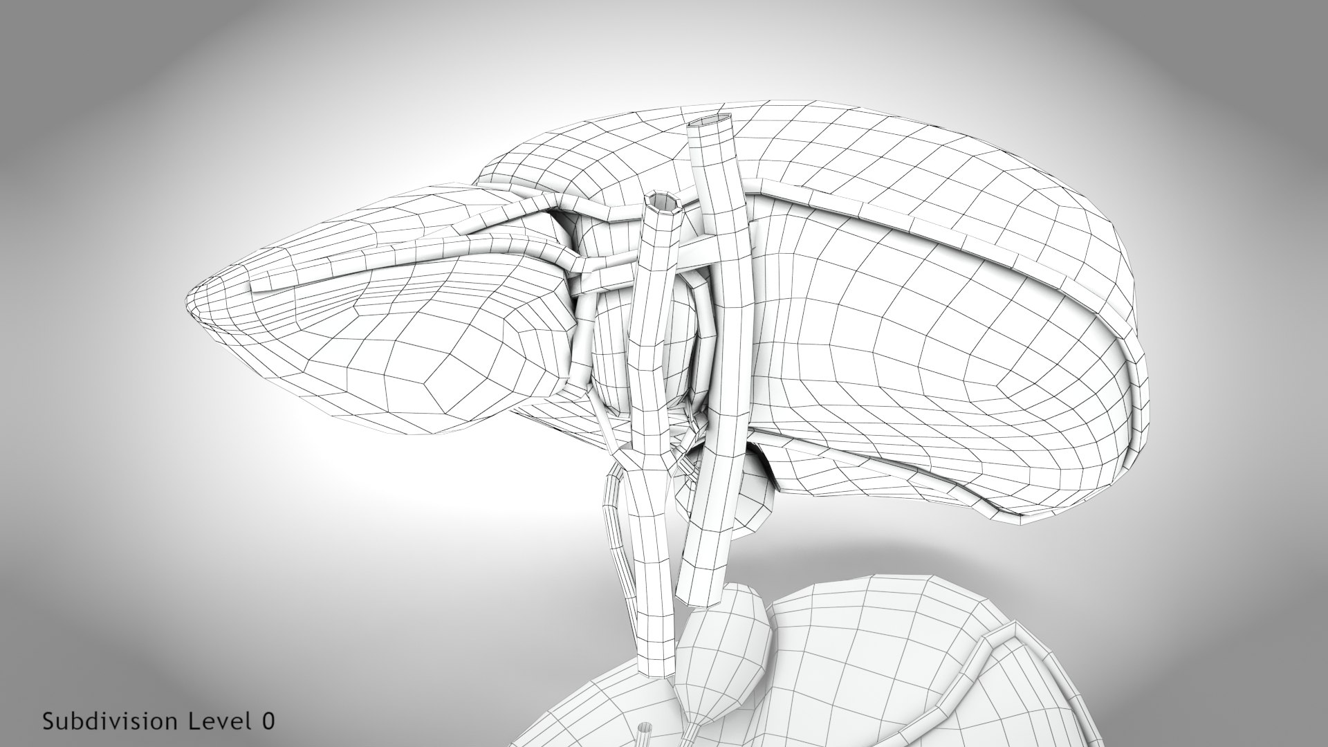 Healthy Liver model - TurboSquid 2132637