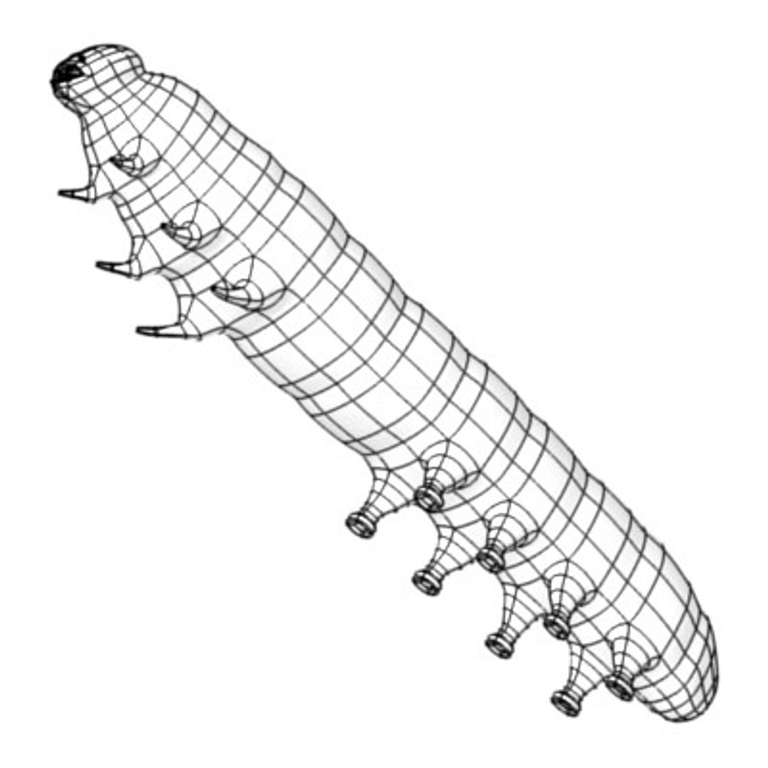 butterfly worm 3d model https://p.turbosquid.com/ts-thumb/NU/YDBhiM/AN6HpDxO/caterpillar5w/jpg/1282761404/1920x1080/fit_q87/c721c7d96eb7bd449993034d883af51fe785d9e7/caterpillar5w.jpg