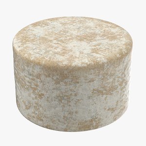 3D blue cheese wheel model