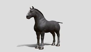 Shire Horse