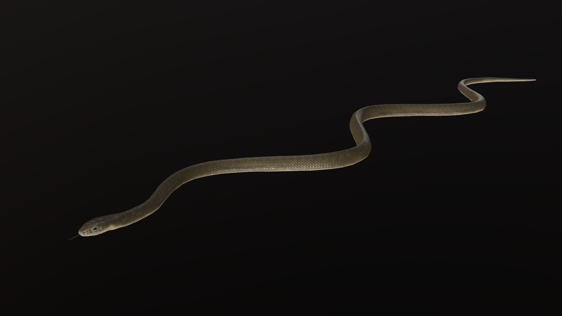 snake black mamba 3D model https://p.turbosquid.com/ts-thumb/NU/qyIRnZ/37/pres_2/png/1607799307/1920x1080/fit_q87/490f3472e5e703e71b44caf13b3010b5a37ecfec/pres_2.jpg