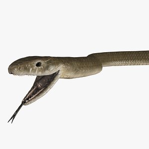 Black Mamba Snake Rigged