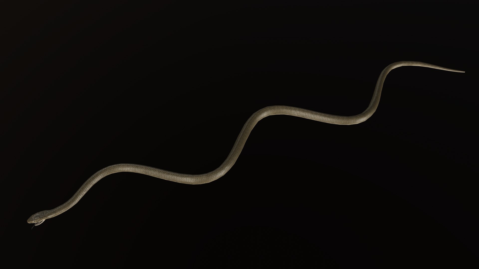 snake black mamba 3D model https://p.turbosquid.com/ts-thumb/NU/qyIRnZ/7f/pres_7/png/1607799307/1920x1080/fit_q87/b171849eca69f2d8b95fc924419f7ad7d3fa5b97/pres_7.jpg
