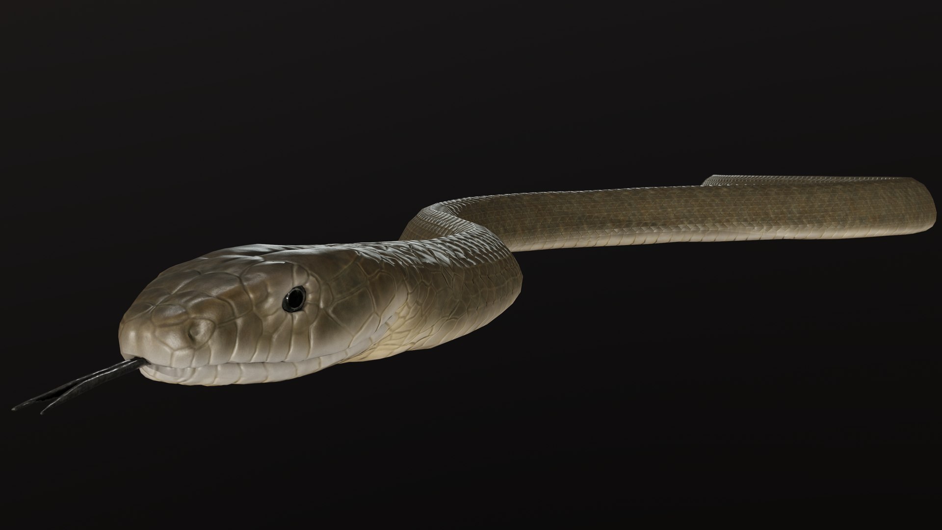 snake black mamba 3D model https://p.turbosquid.com/ts-thumb/NU/qyIRnZ/Af/pres_14/png/1607799315/1920x1080/fit_q87/0b10be465e0c45b9f7c99f8e6a3004ca14e76dd1/pres_14.jpg